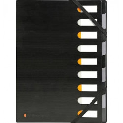 Trieur à rabats en polypro 12 compartiments noir 24*32 cm EXACOMPTA - noir